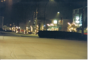 F32 Kerstfeestverlichting Zutphenseweg, 2